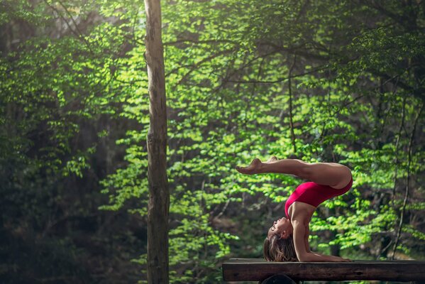Девушка занимается гимнастикой в лесу