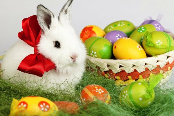 Lapin blanc et oeufs de Pâques