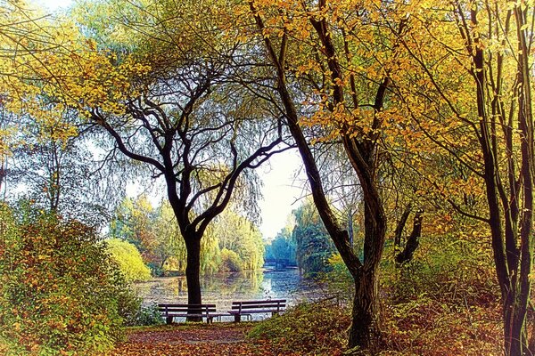 Autumn park, benches on the lake shore