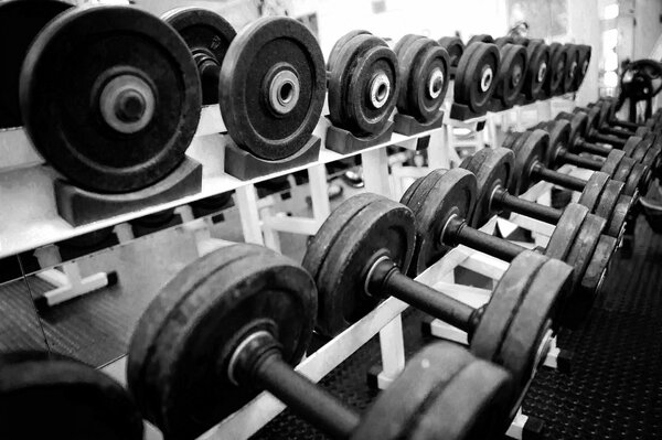 Black and white image of dumbbells laid out in a row