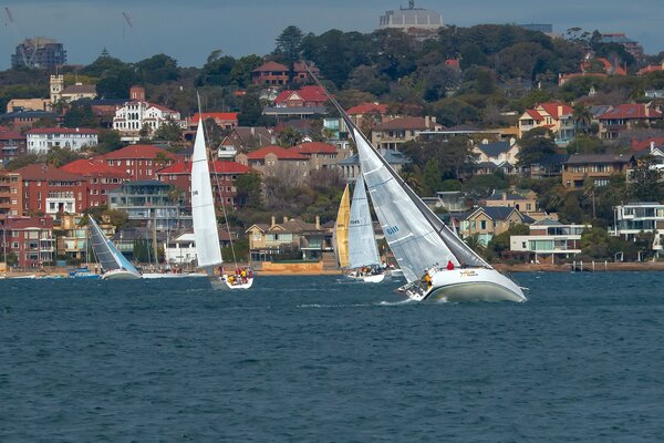 Yachts, régates en mer en Australie