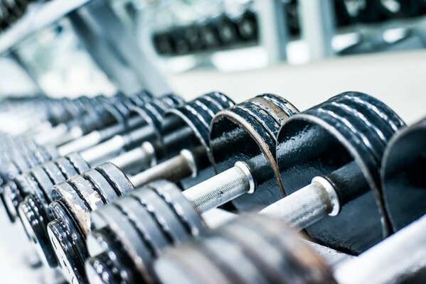 Metal dumbbells are presented in the gym