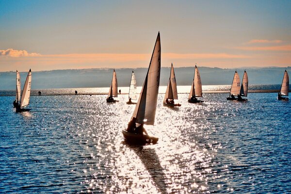 Sailboats at sea in the sunset