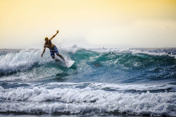 Surfer conquers the sea wave