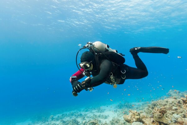 Aquolangist am Meeresboden mit Fischen