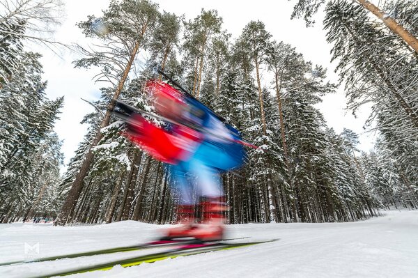 Biathlète rapide dans la forêt d hiver