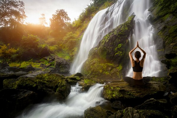 Cours de yoga dans la nature