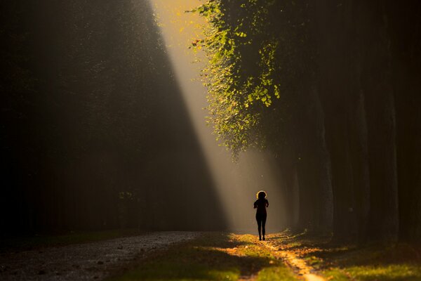 Joggen am Morgen in der Sonne