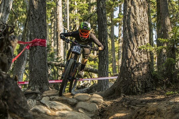 Course de moto en été dans la forêt