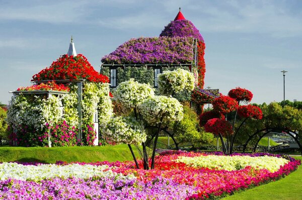 Dubai gardens with a flowerbed of bright flowers