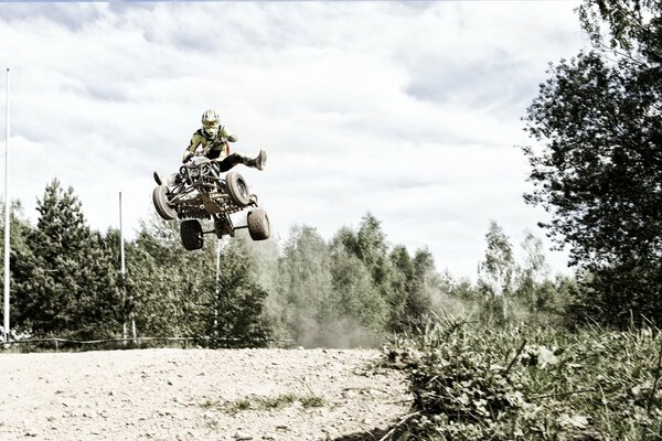 Rider on the background of the forest and sky