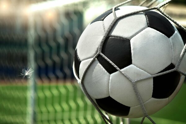 Soccer ball in the goal net