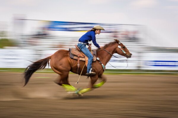 Rennen auf einem Pferd. Pferd. Sport