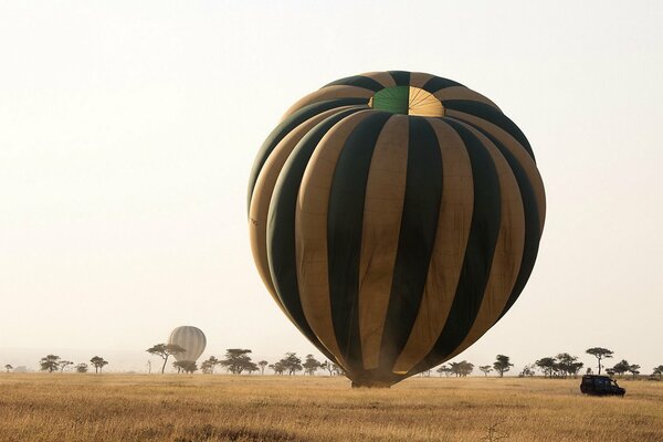 El globo aterrizó en el campo