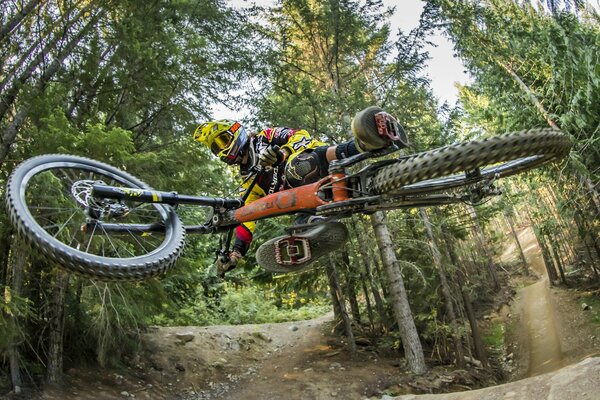 Carreras de bicicletas en la naturaleza verde