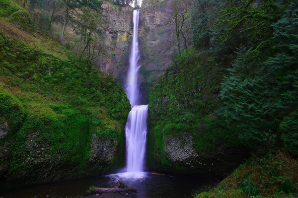 Cascade parmi les rochers. Sauvage