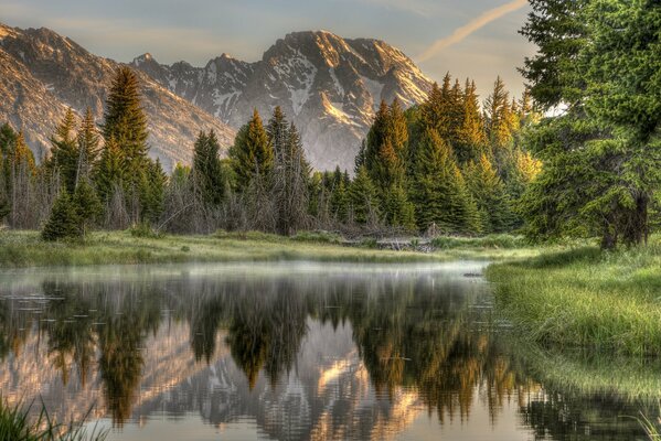 Nebbia sul lago nella foresta ai piedi delle montagne