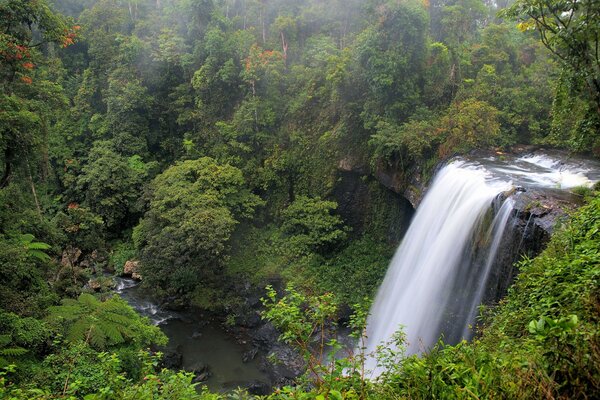 A waterfall in beautiful Queensland. Australia