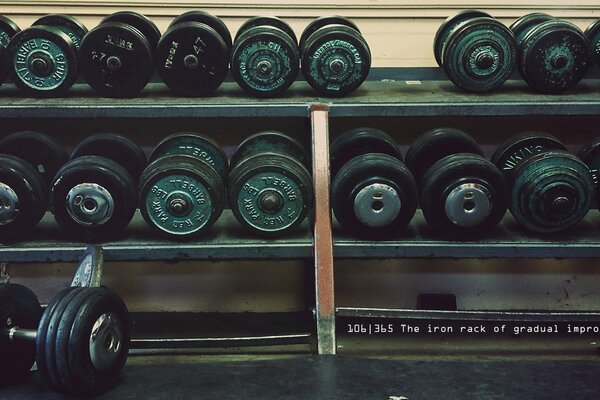 Mancuernas en el estante en el gimnasio