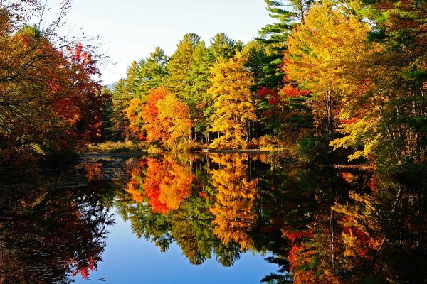 Teich im Herbstwald. Reflexion von hellem Laub in der blauen Oberfläche des Wassers