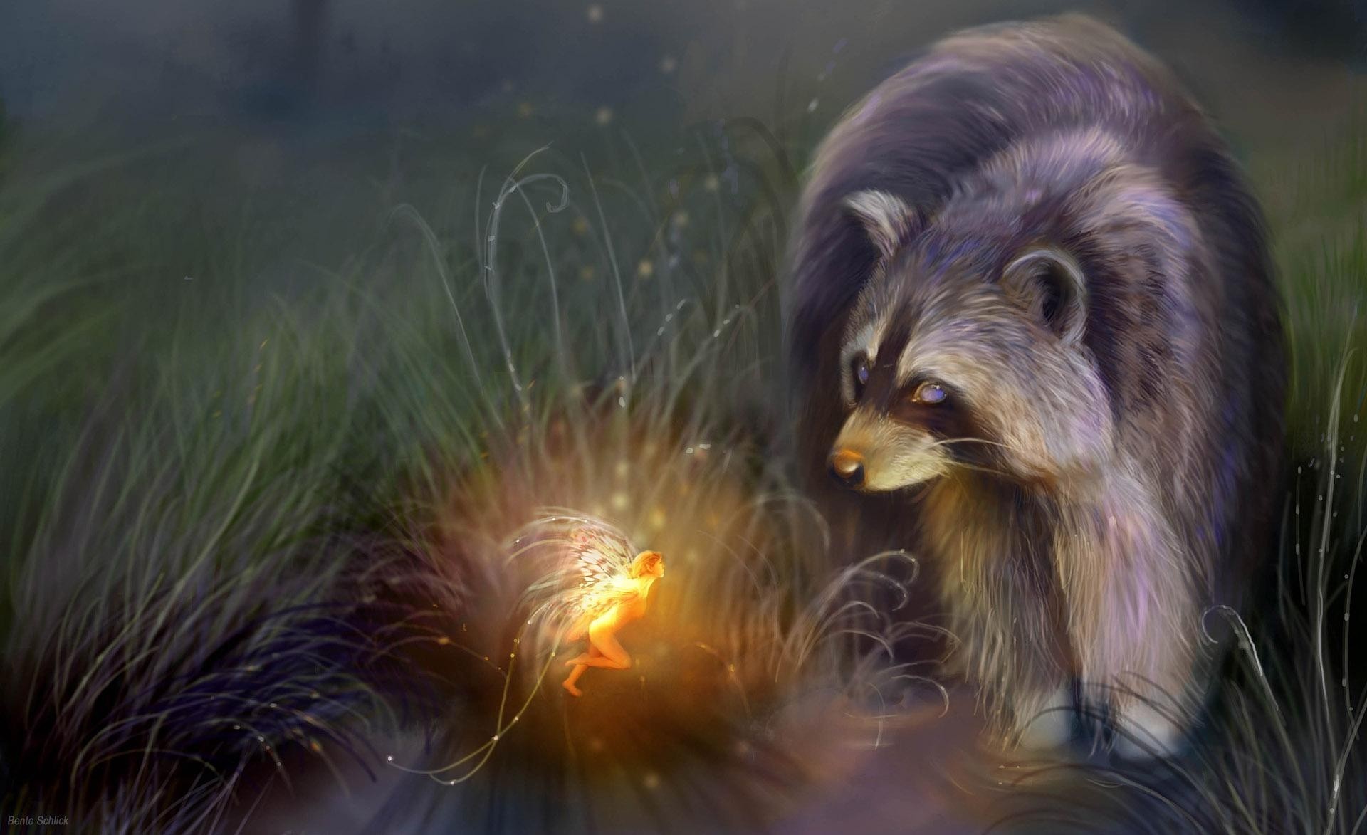 fairy night cry repair fantasy raccoon