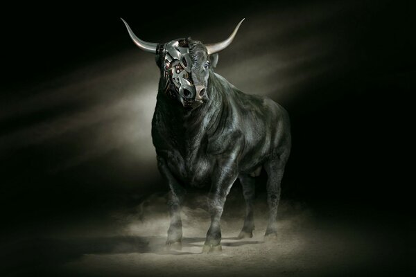 Metallic bull on a black background