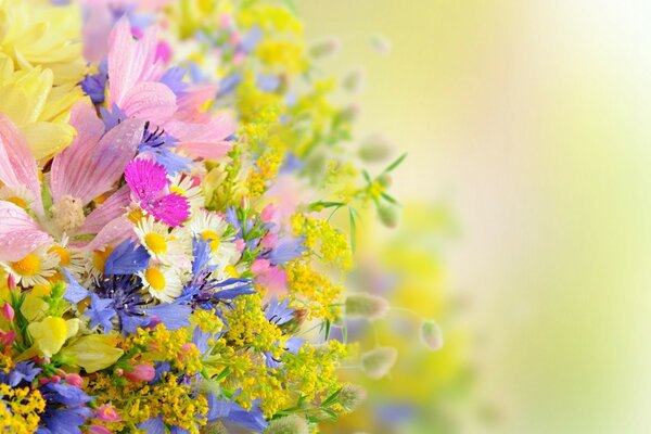 A summer bouquet of beautiful wildflowers