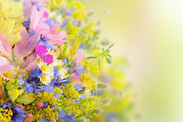 Letni bukiet pięknych polnych kwiatów