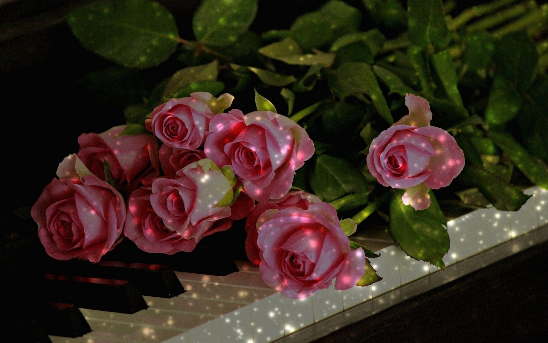 bourgeons piano touches roses