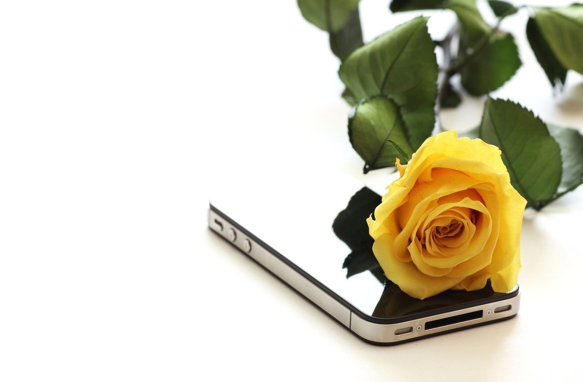 feuille rose jaune mobile verts