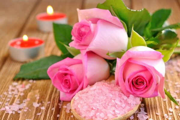 Rosen zusammen rosa Salzkerzen für die Liebe bereitet jemand romantisch vor