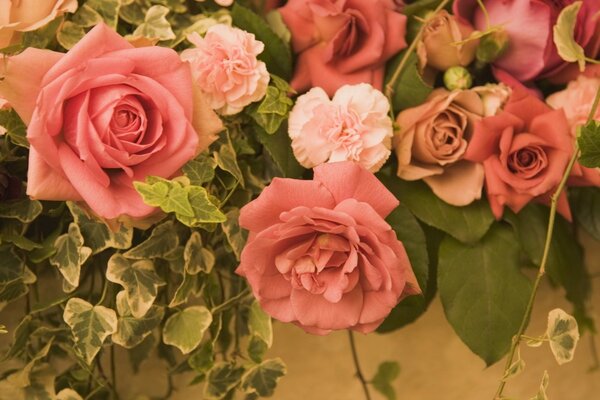 Staubige Rosen und Nelken mit grünen Blättern