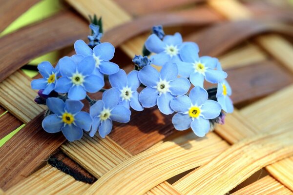 Flores azules en el fondo de la cesta