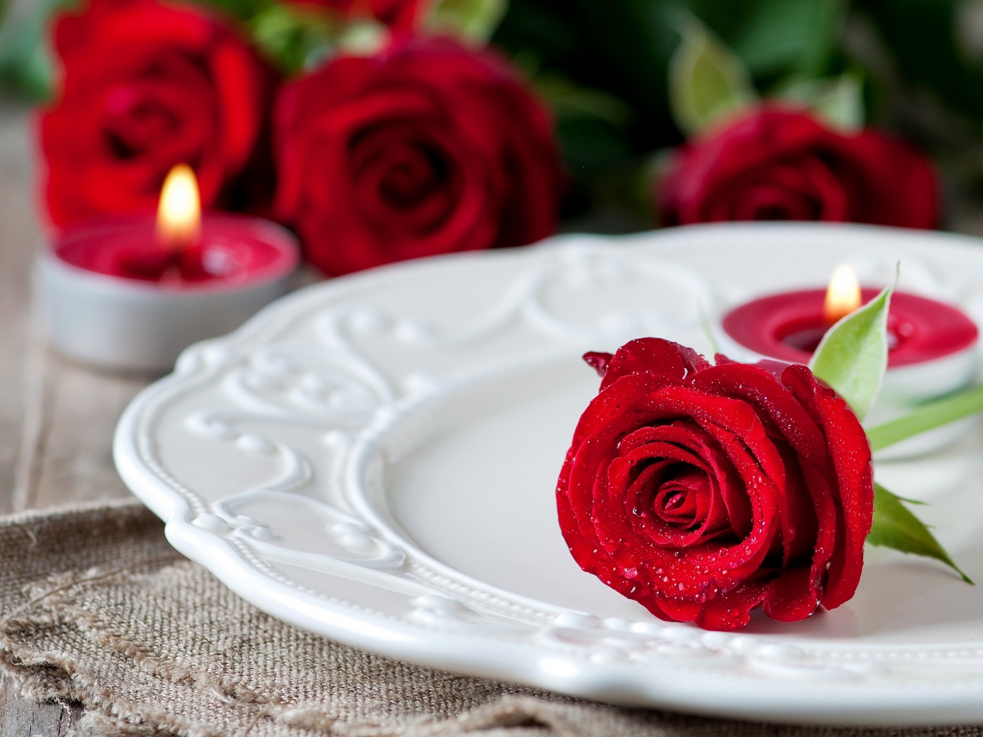 rosa cae rojo flores velas placa perlas brote