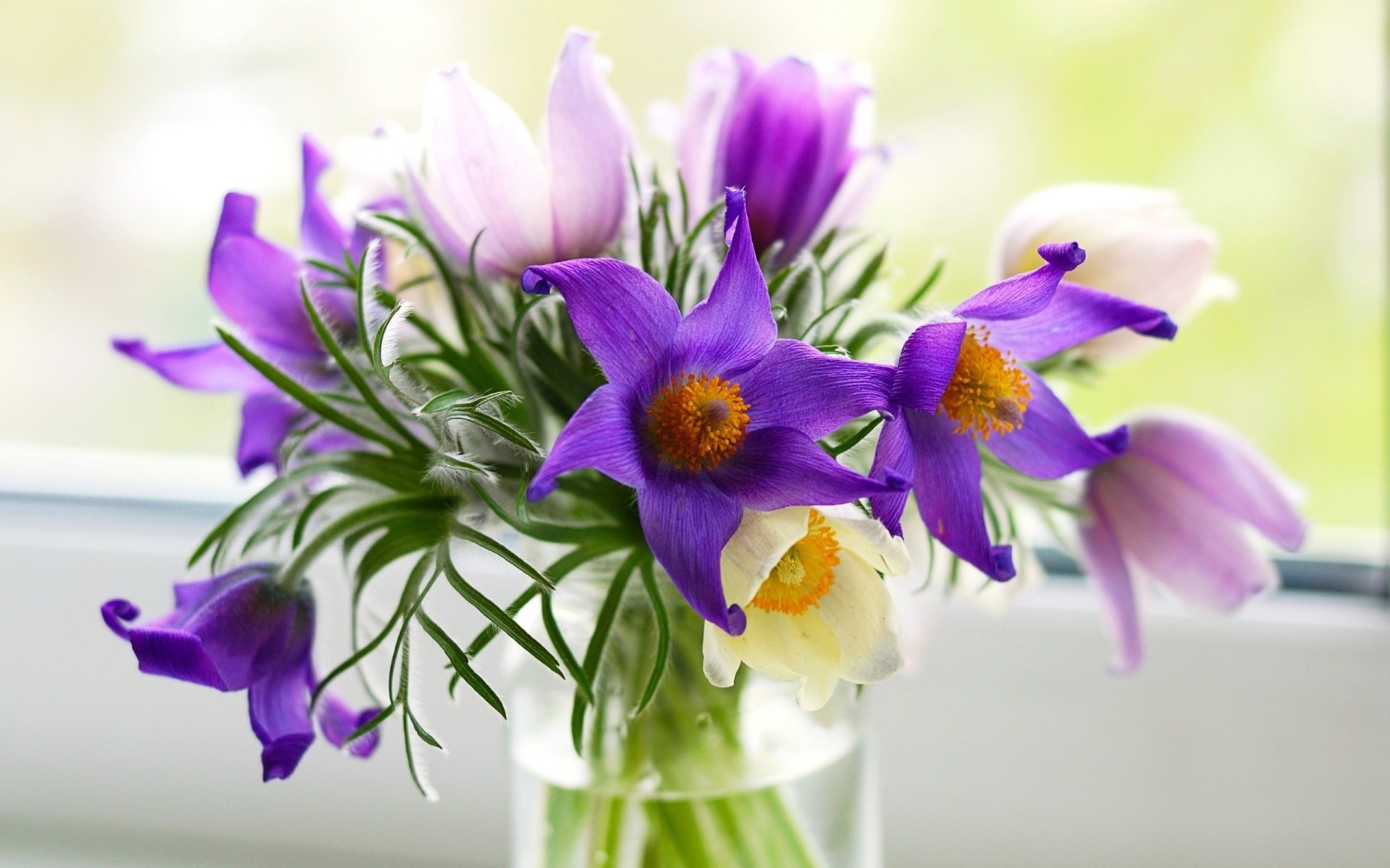 violet fleurs flèche violet