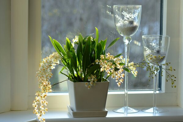 Подсвечники на окне рядом с горшочком орхидей