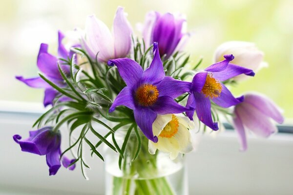 Purple flowers in a vase on the windowsill