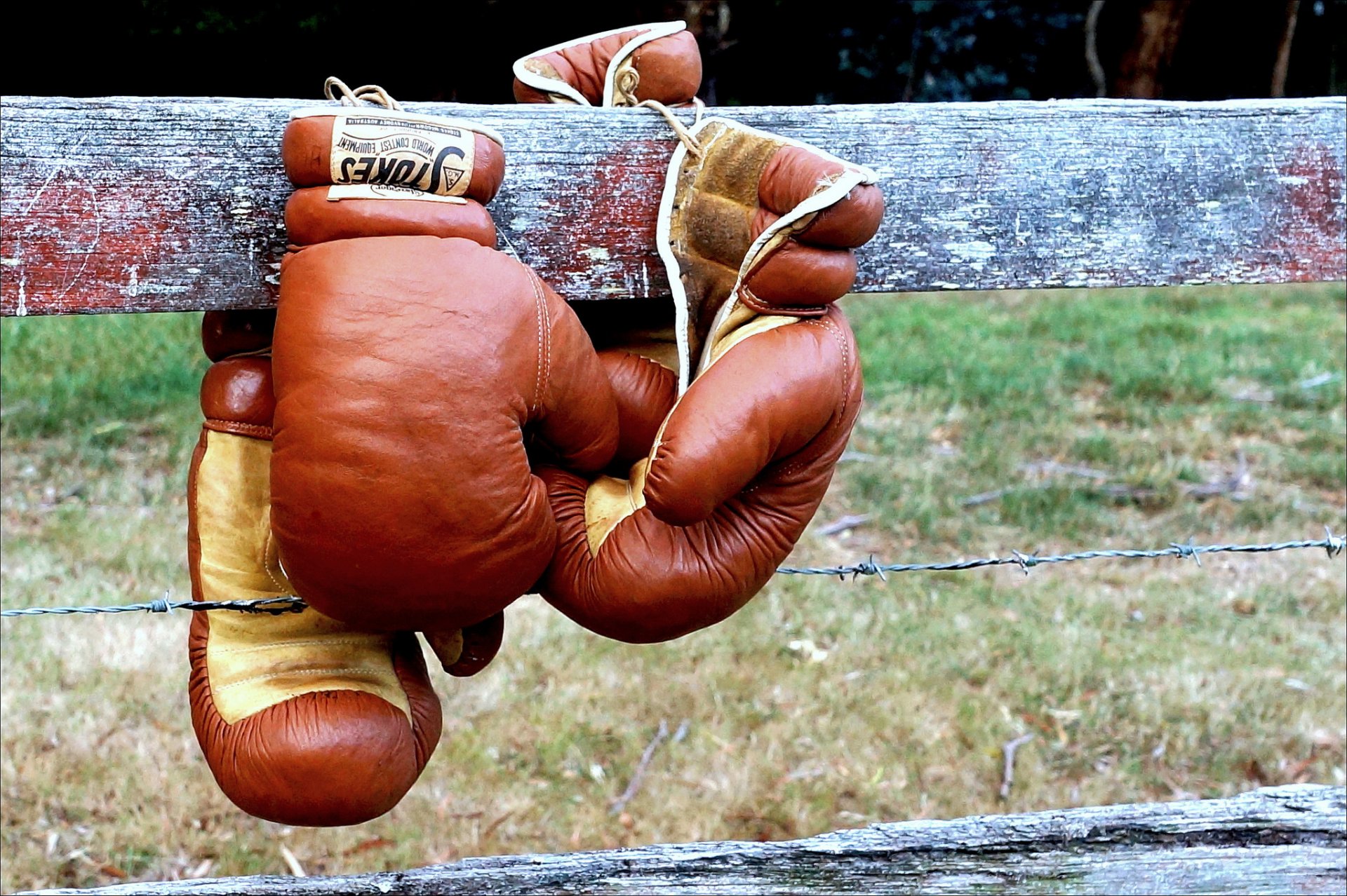 boxe gants de boxe clôture sport