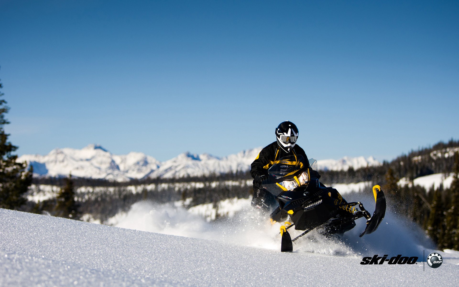 ki-doo motoneige renegade adrénaline brp neige forêt sport