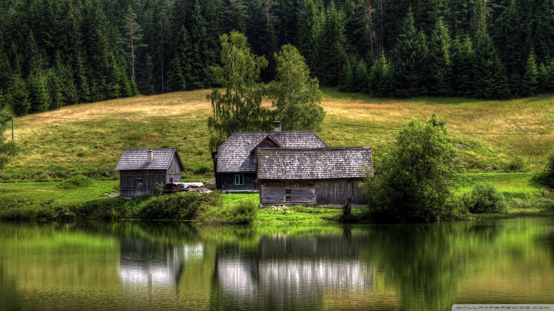 hdr lago riflessione palme foresta casa foresta di conifere