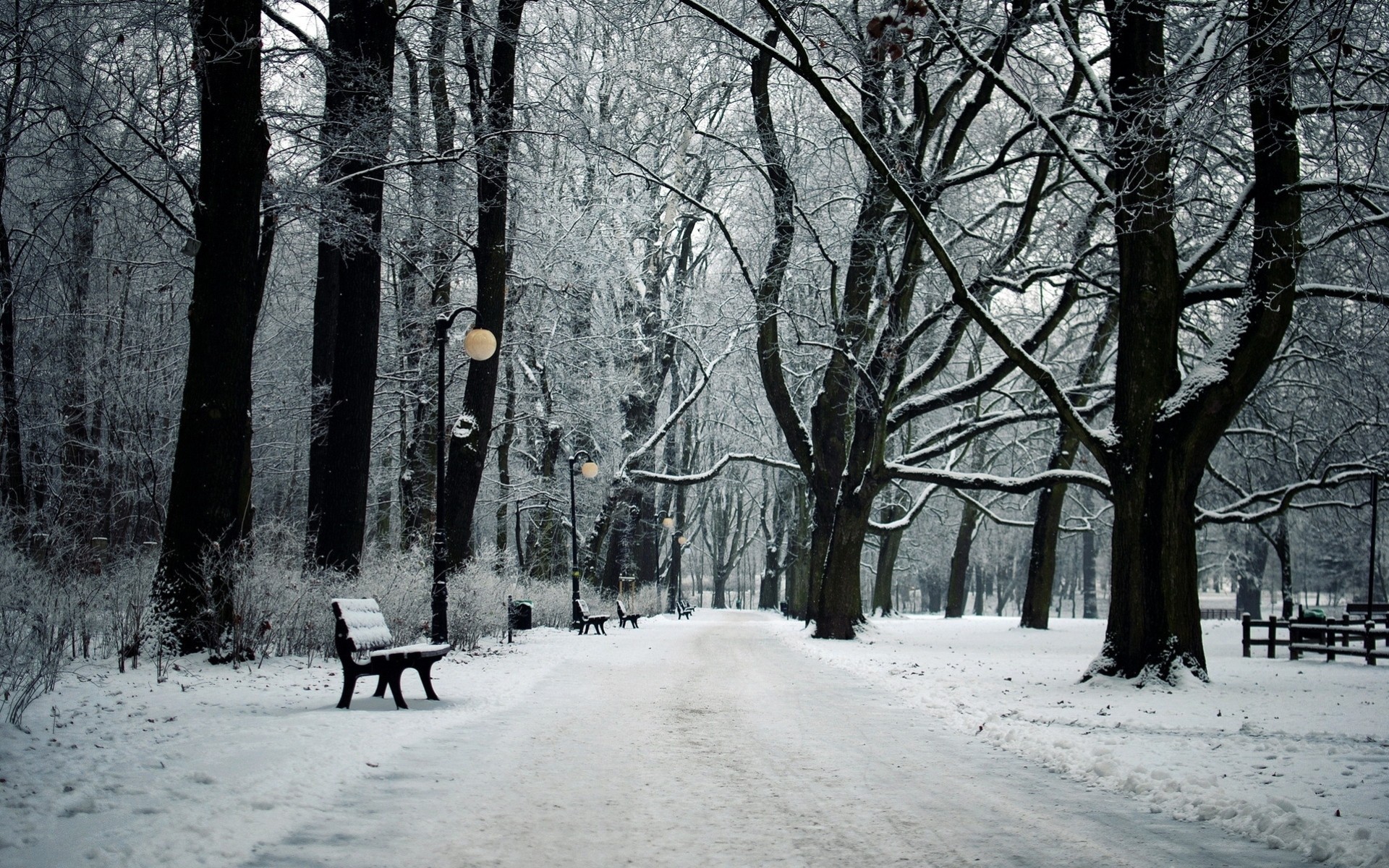 schnee bäume stadt lichter park landschaften gasse winter