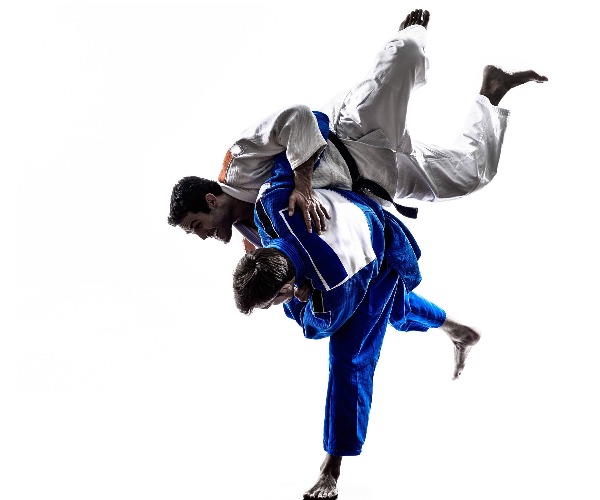 judo ringen training technik geschicklichkeit