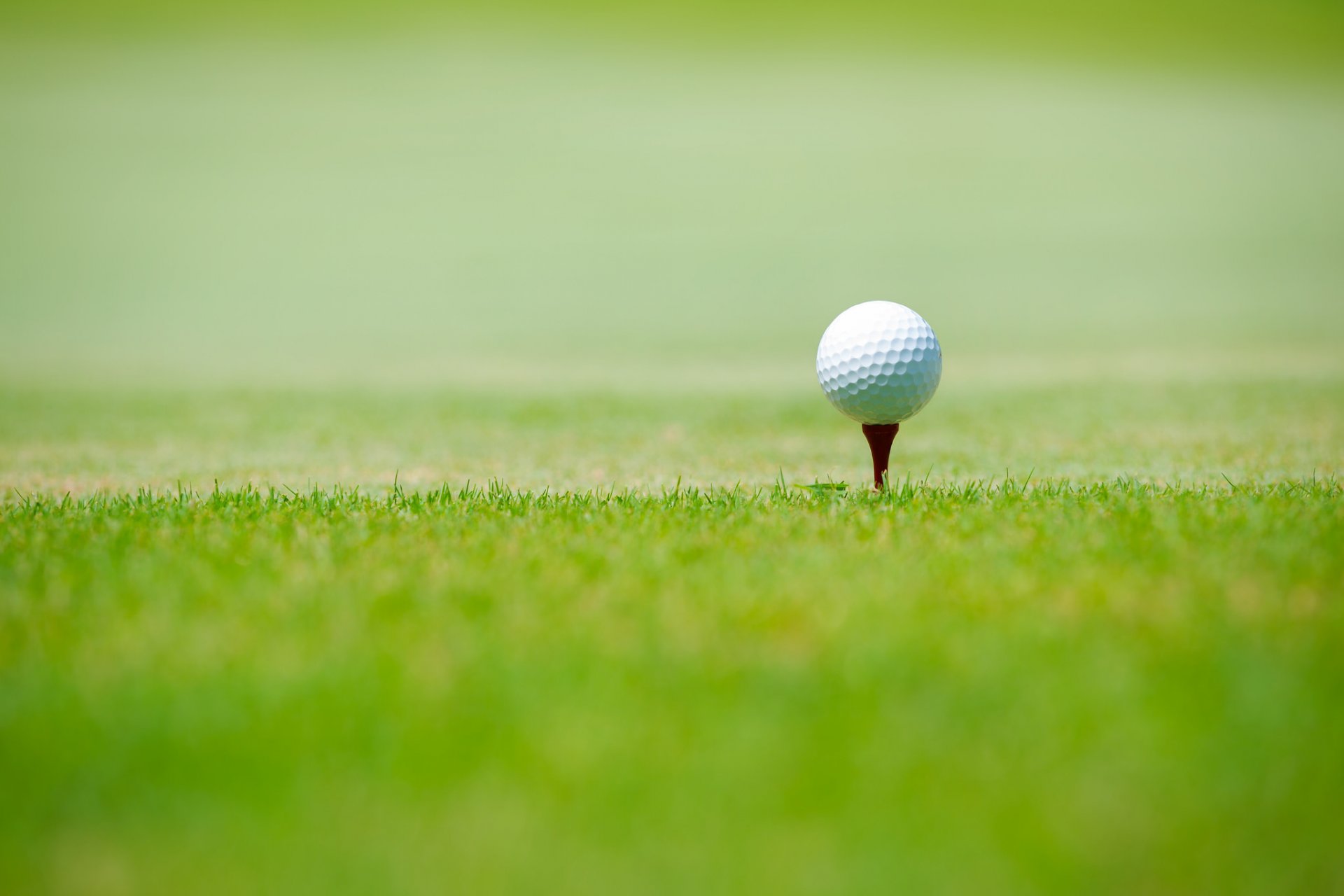 golf ball green grass sport