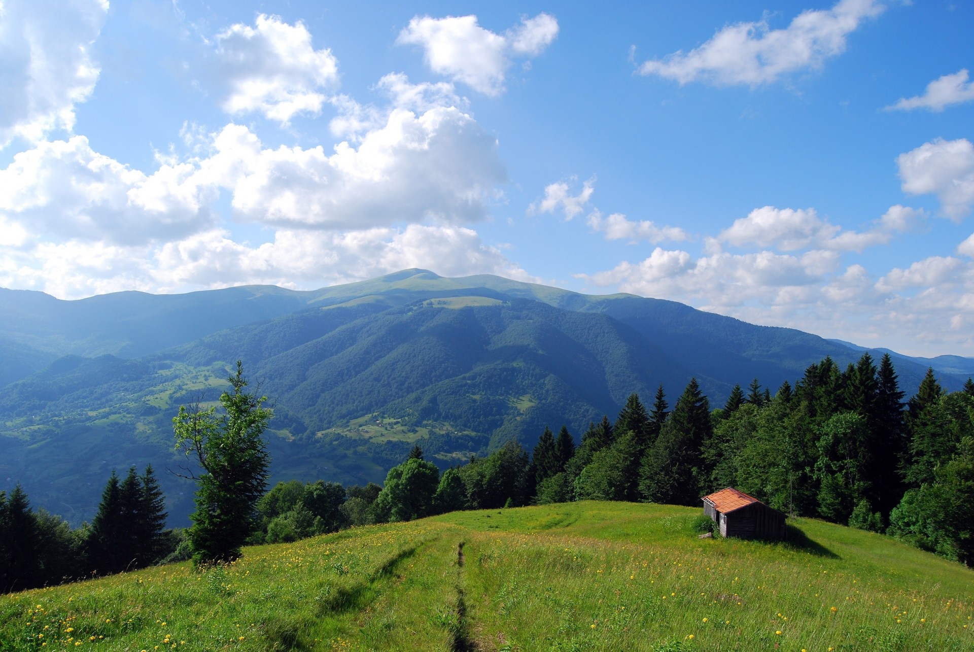 paysage maison champ montagnes carpates