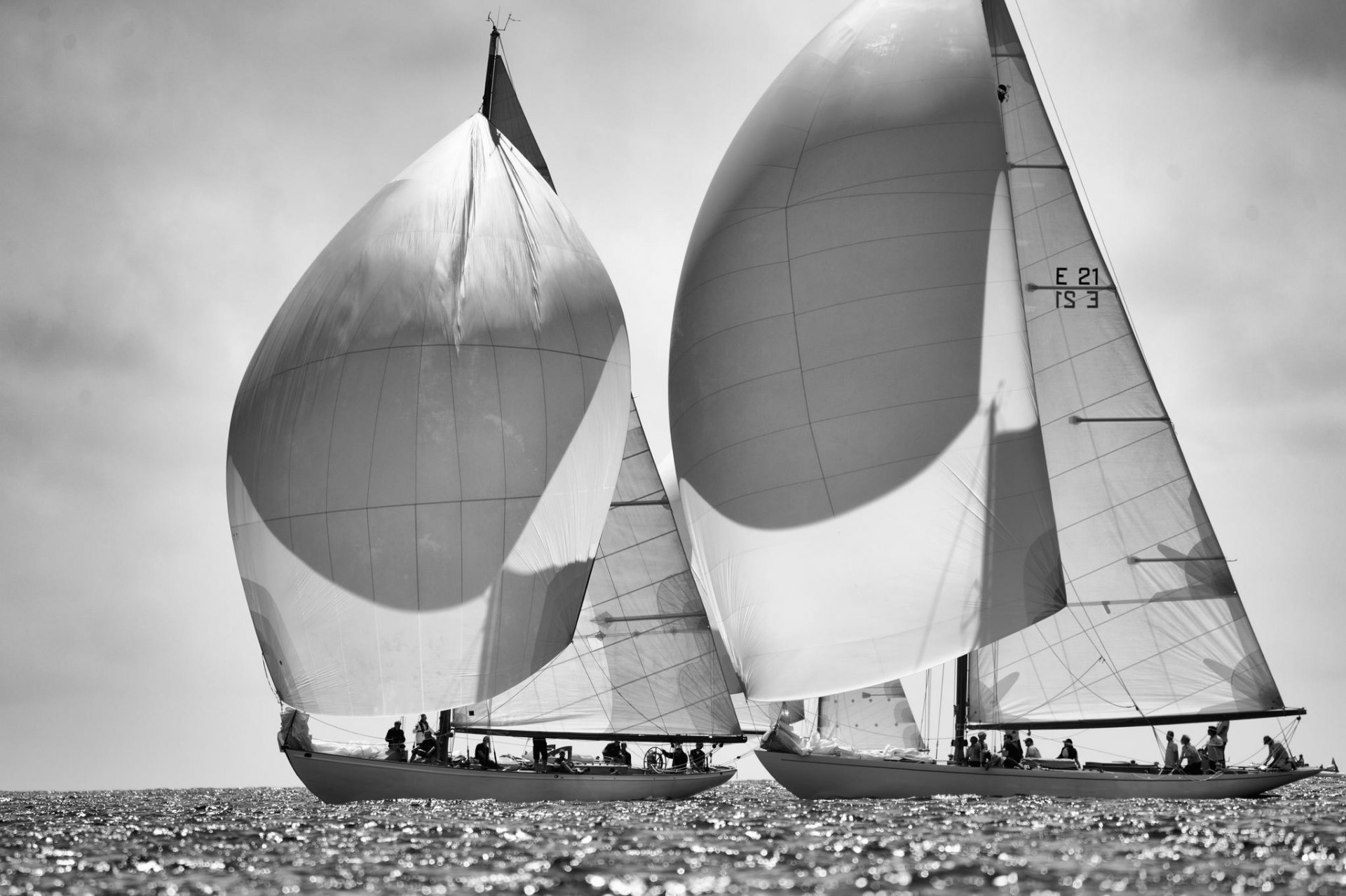 foto schwarz und weiß yachten meer regatta segel