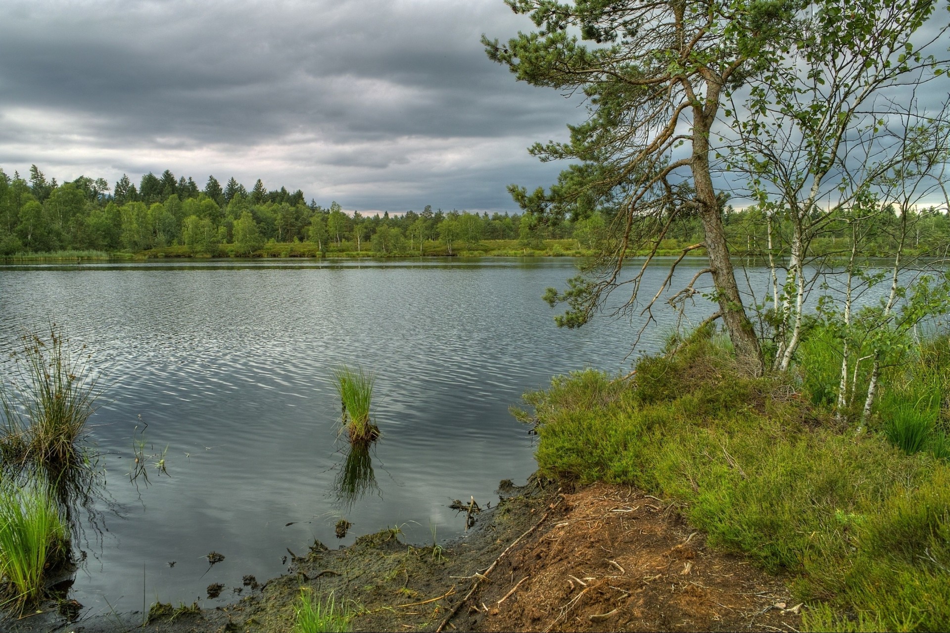 landschaft fluss natur bäume bayern