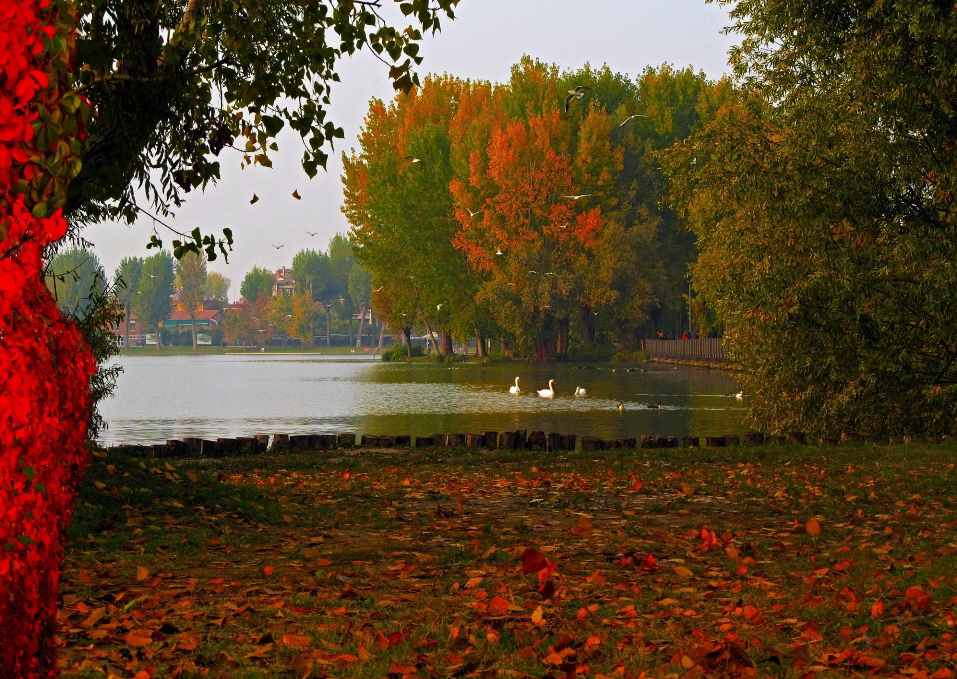 Парк с озером осенью