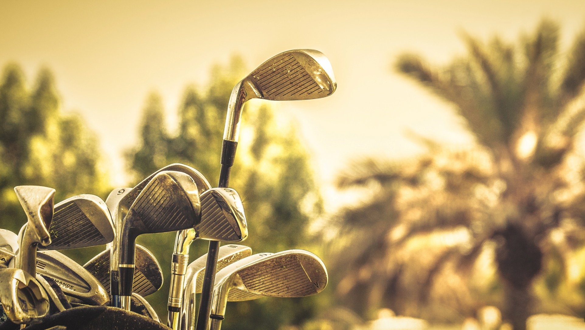 palos de golf macro deporte