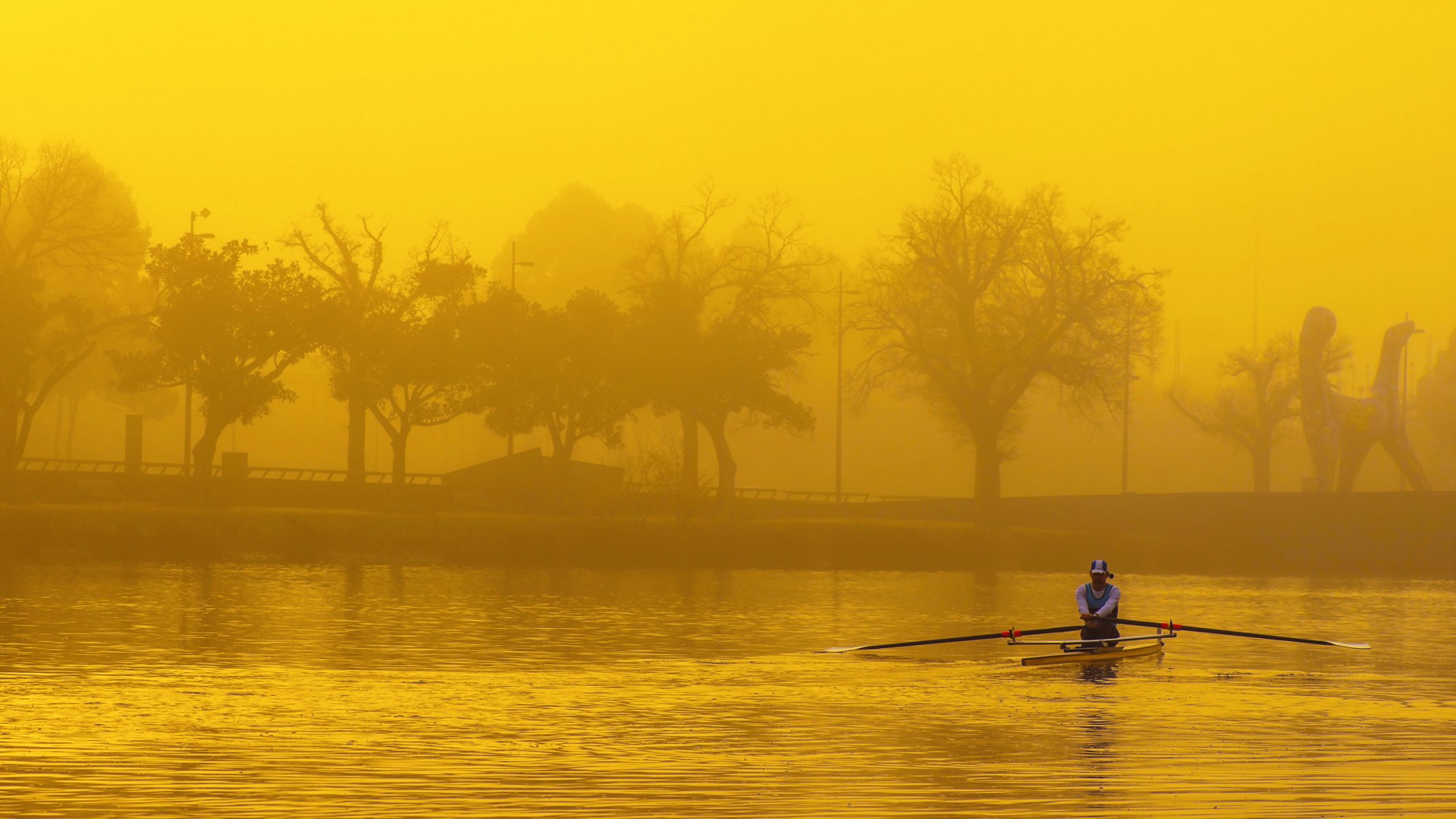 fluss rudern sport