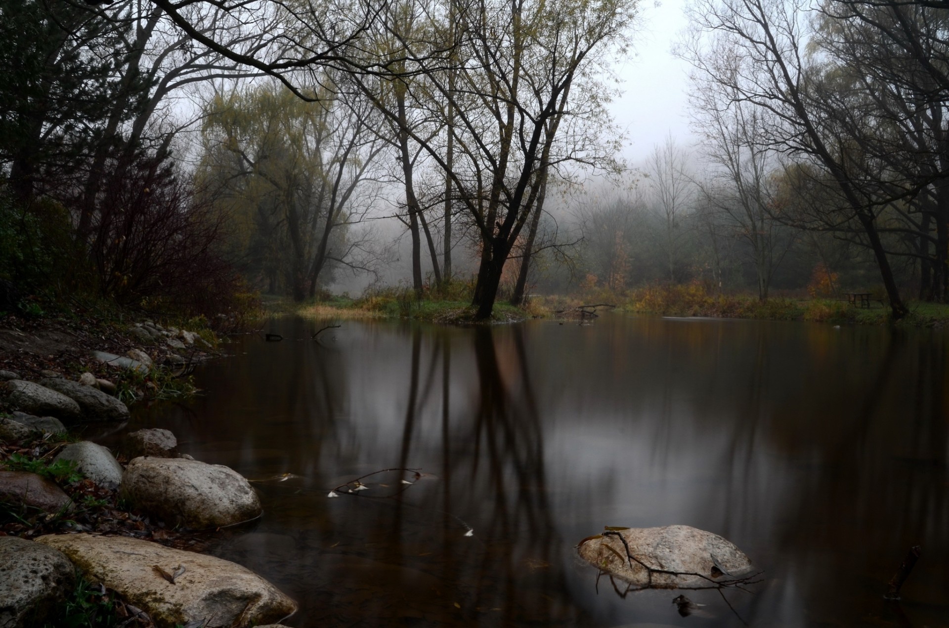 autunno lago nebbia foresta pietre